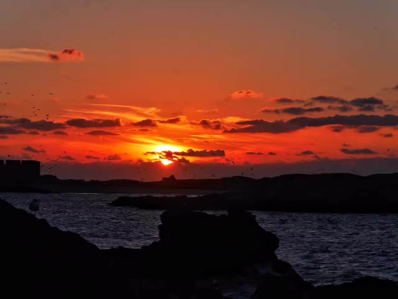 From the Horizon