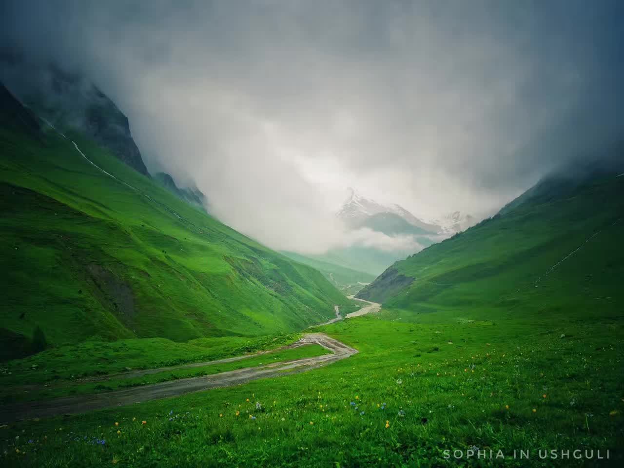 From The Unexpected